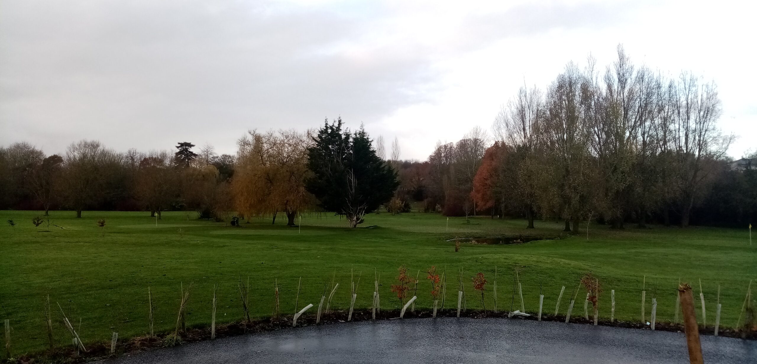 Ladies Invited to Monthly Golf Meet at Town Meadow